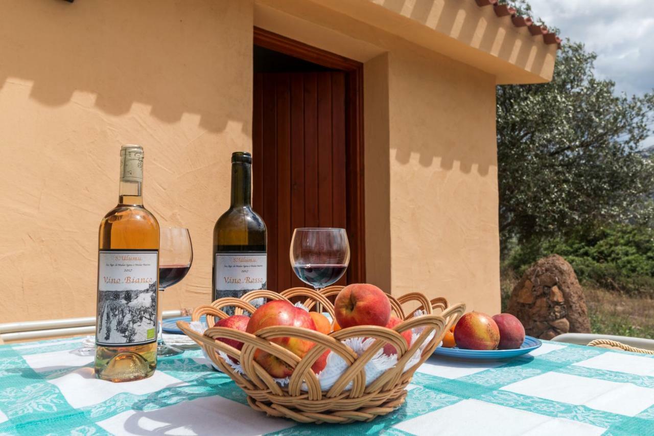 S'Ulumu Guest House Dorgali Exterior photo