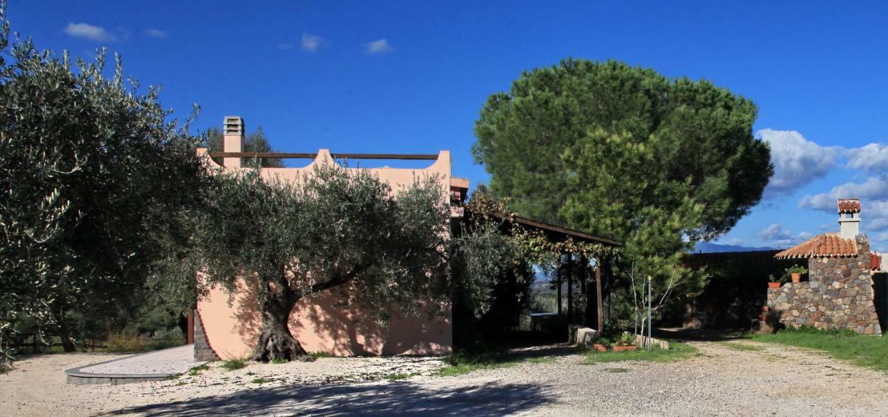 S'Ulumu Guest House Dorgali Exterior photo